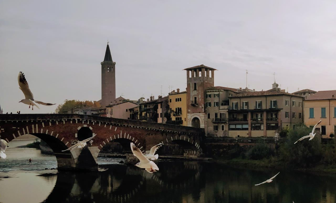 Borsari *