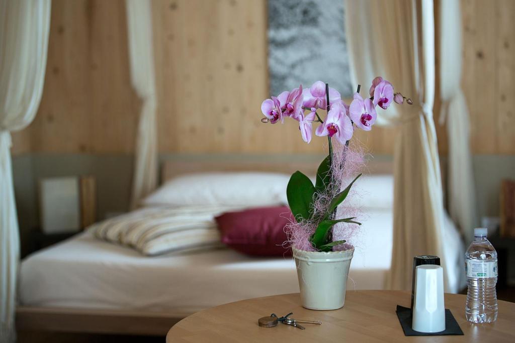 Il Geco In Arena Guest house