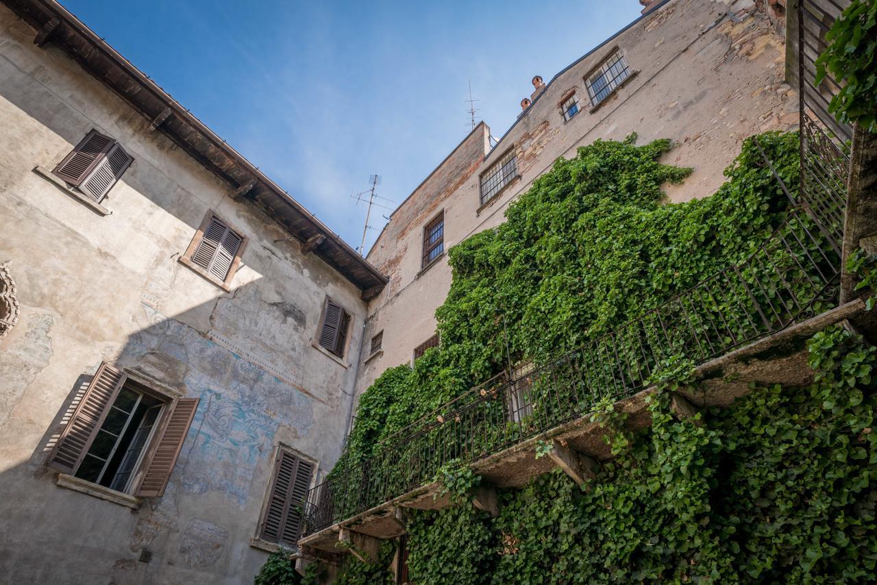 Apartment Terrazza