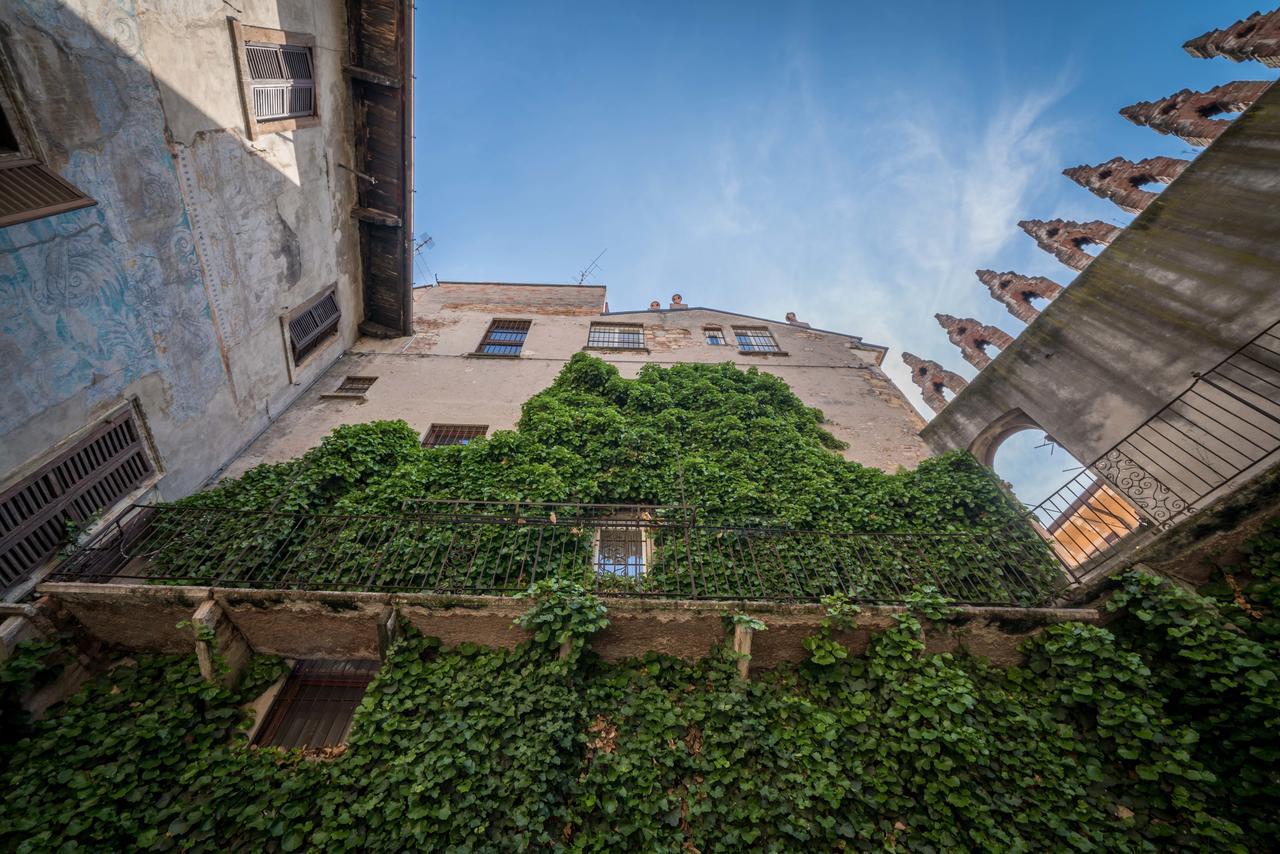Terrazza Apartment *
