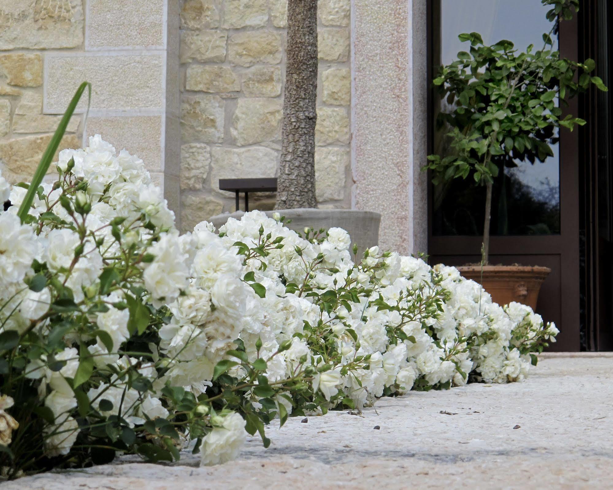 Maalaistalot Delser Manor House Verona