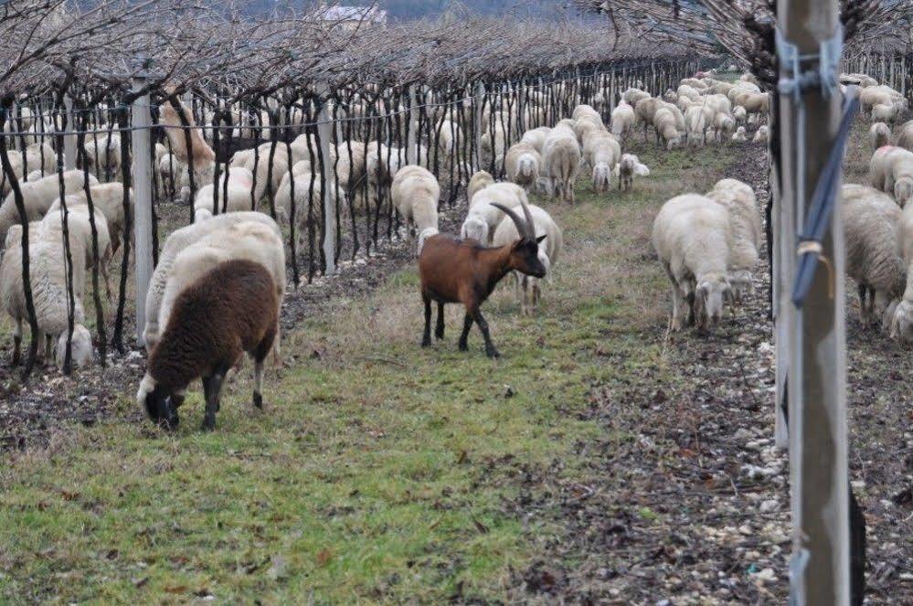 Corte Moranda Farm stay