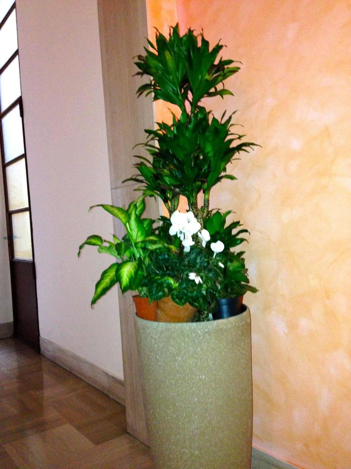 Rigoletto Guest house Verona