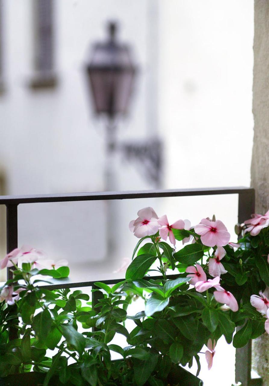 Bed & Breakfast Residenza San Faustino