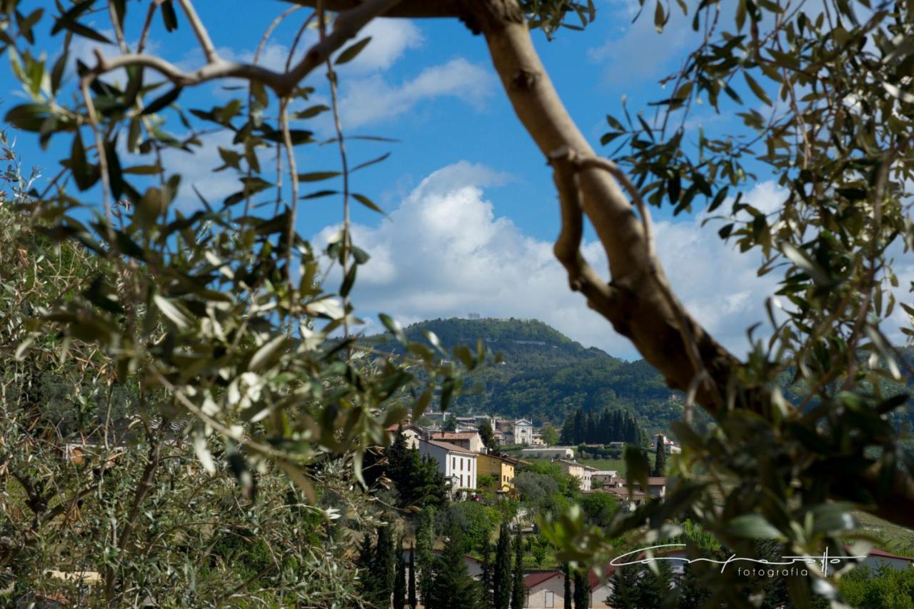 La Bottega De La Sminca Bed & Breakfast *