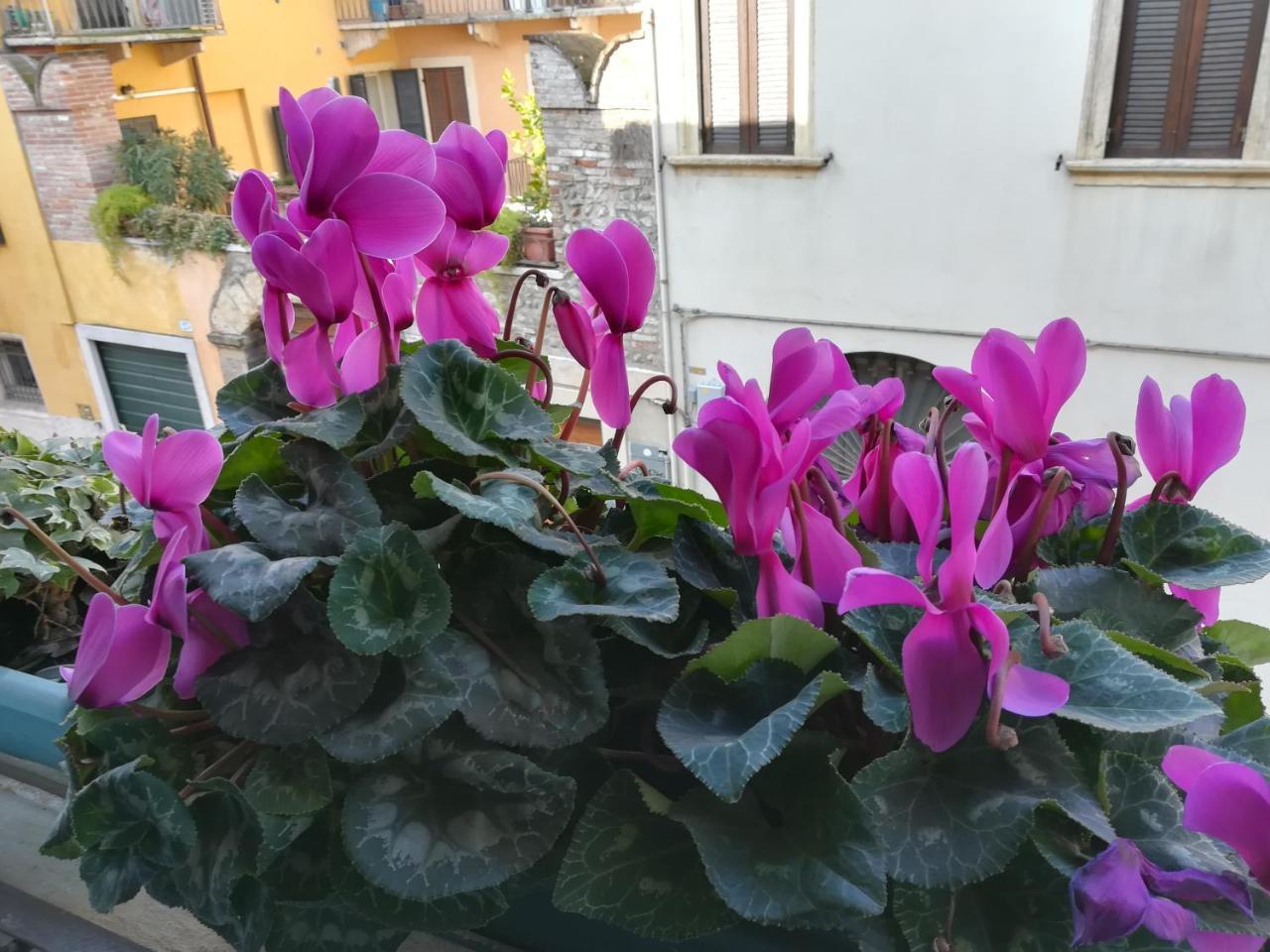 A Casa Di Luca