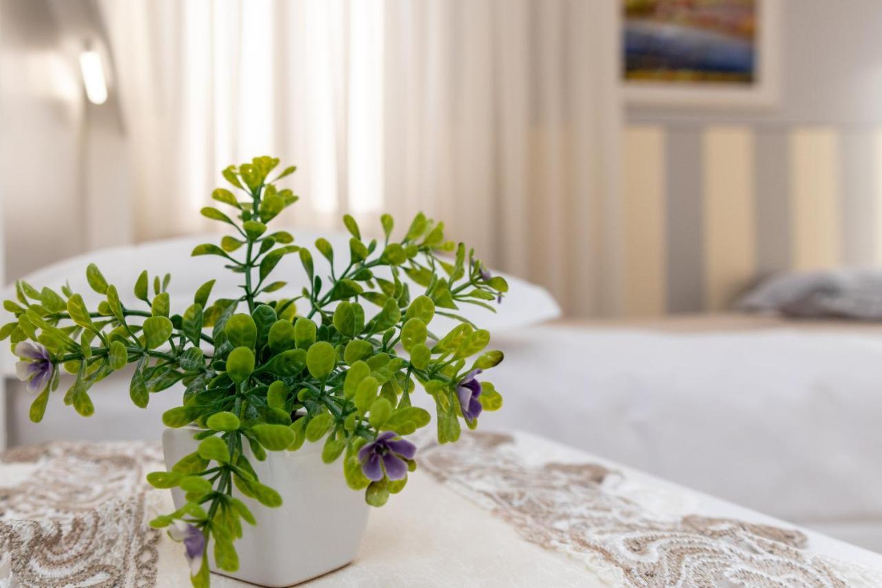 Bed & Breakfast Accademia 2*