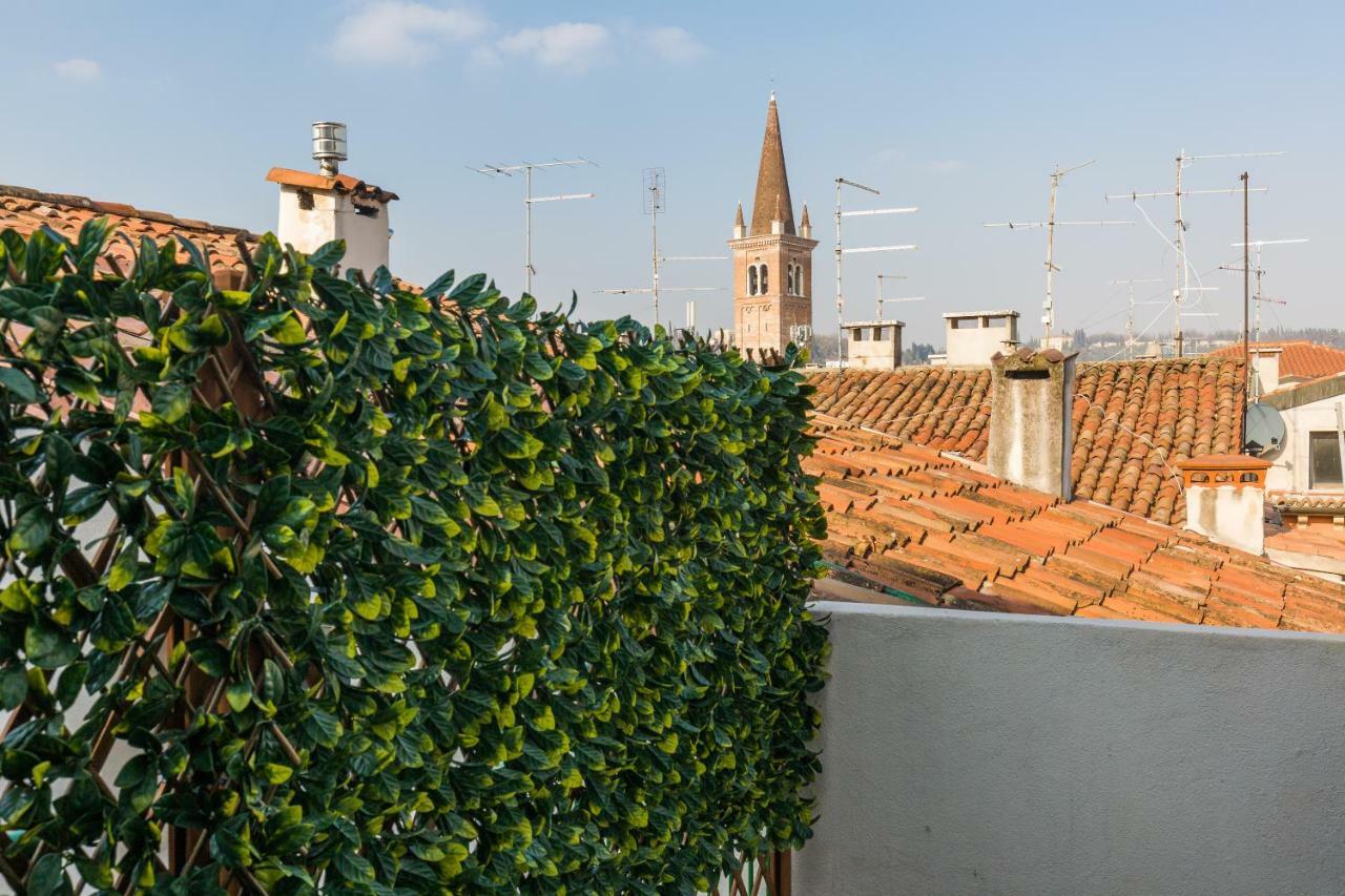 Apartment Panoramic Roof