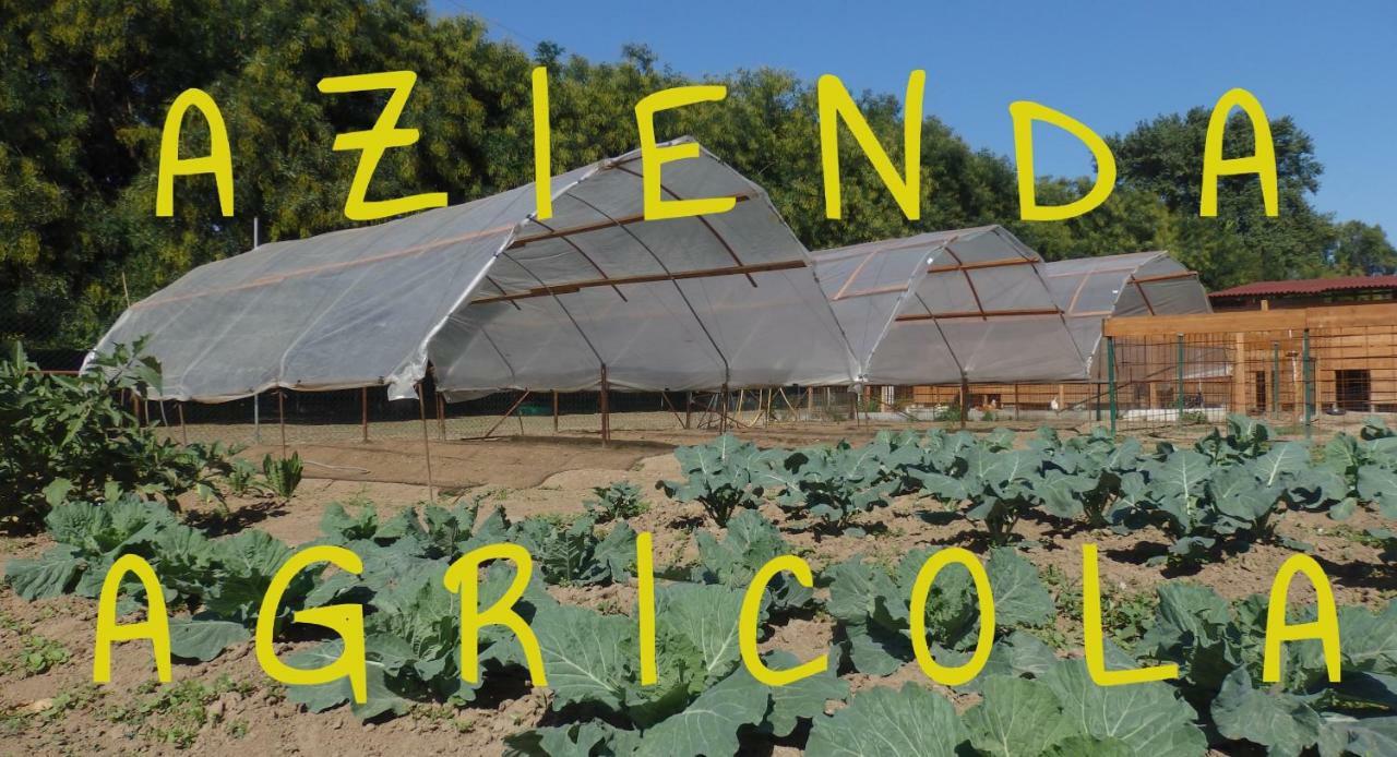 Corte Agricola Monro Vakantieboerderij