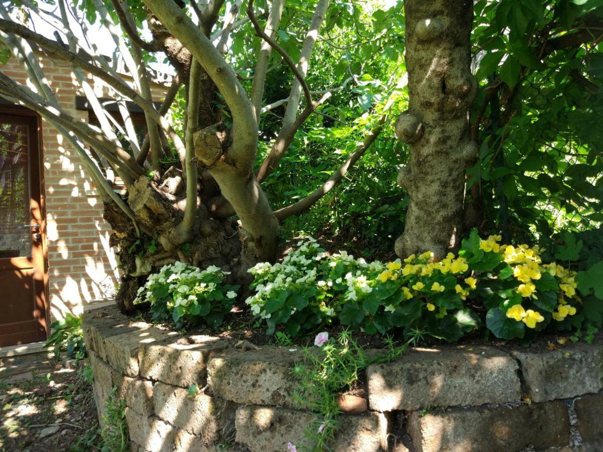 Veronauptoyou Courtyard *