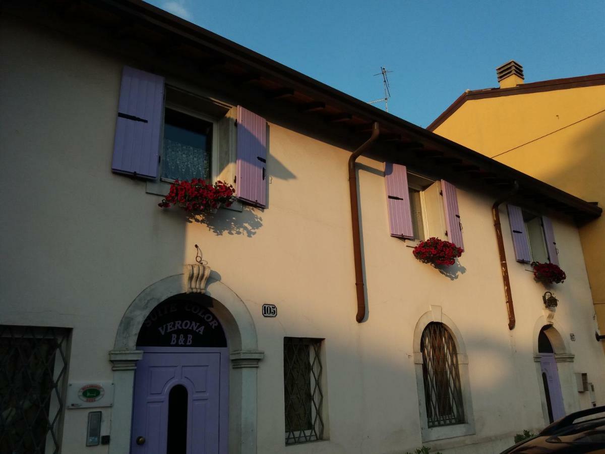 Color Bed & Breakfast 3*