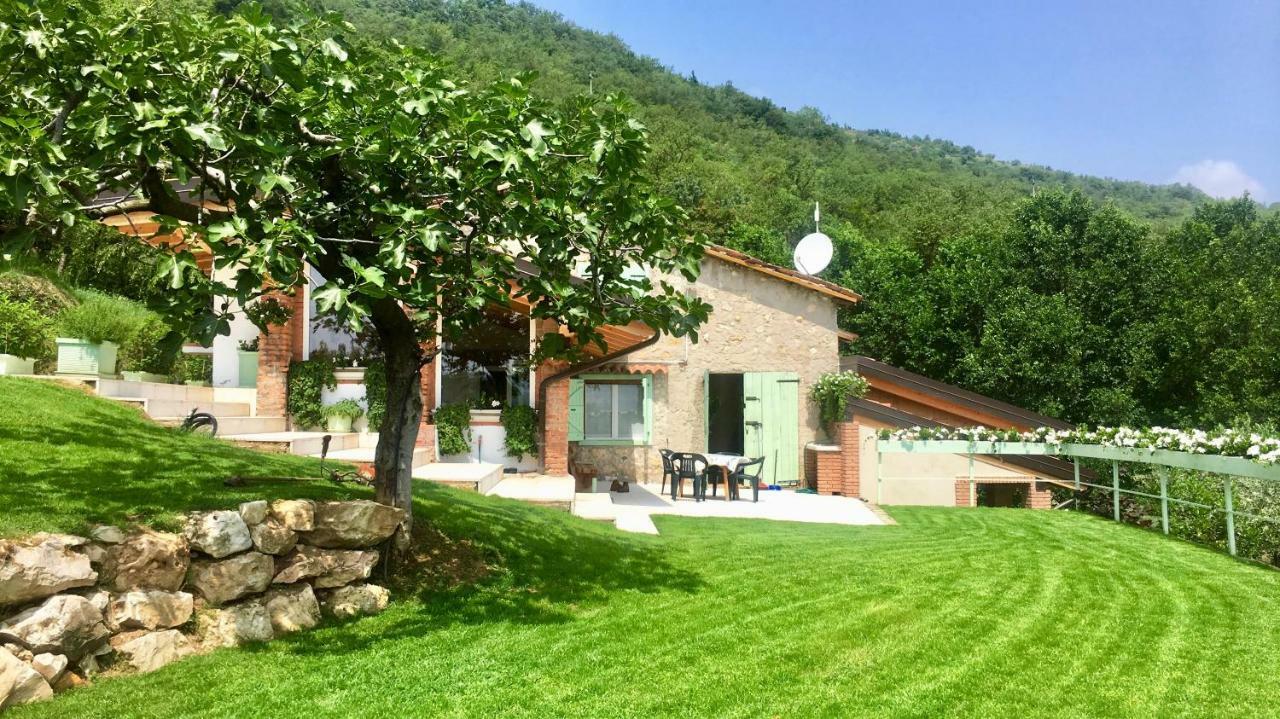 Agriturismo Caranatura *