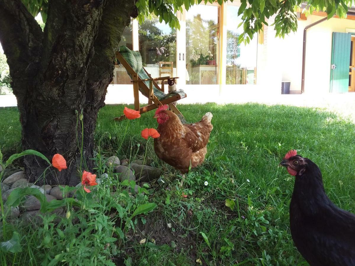 Casa de hóspedes “al Campo” *