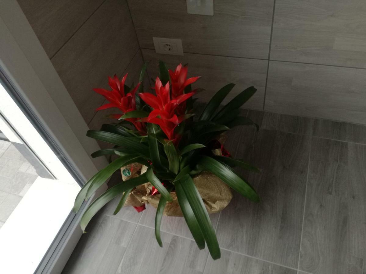 Alessietto Apartment Verona
