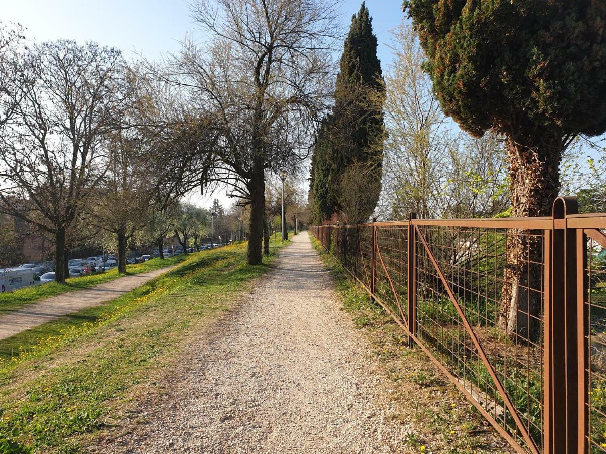 Divina San Zeno Apartment
