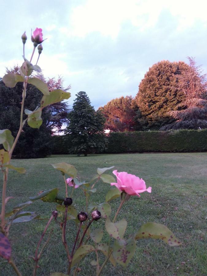 “al Campo” Casa de hóspedes Verona