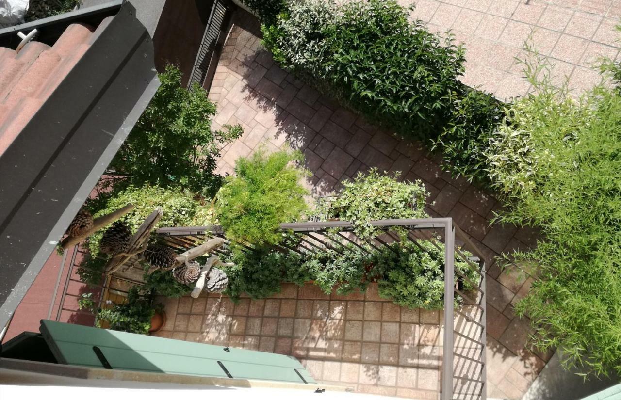 Guest house Danieli