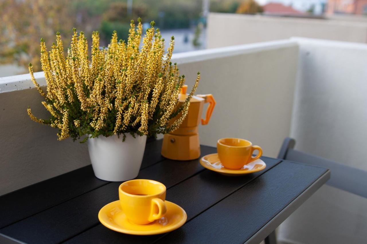Mv Yellow * Verona