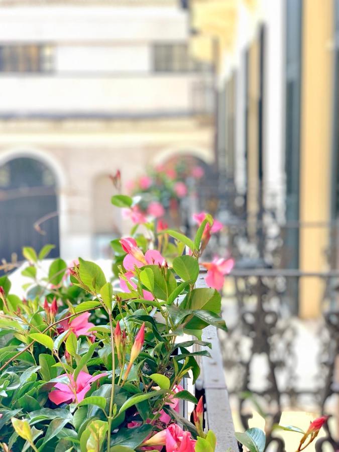 Bue Nero Guest house Verona
