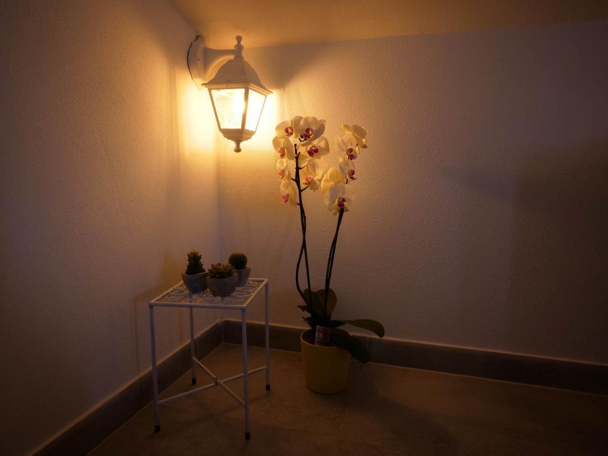 Afrodite Loft Psiche *
