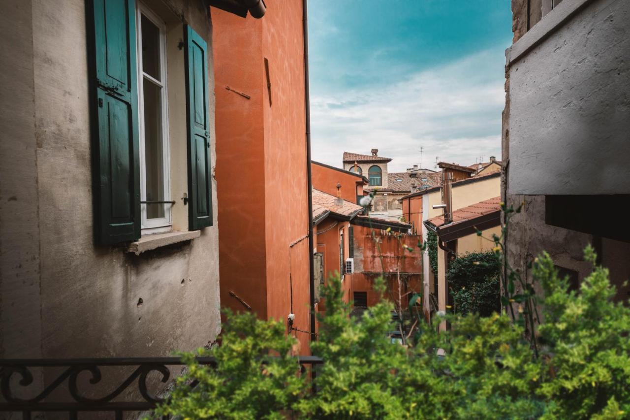 Terrazza Căn hộ Verona