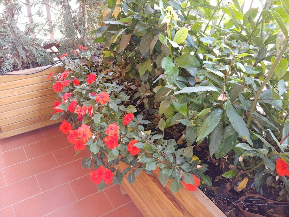 Apartment 'la Quercia' Floor Flat *