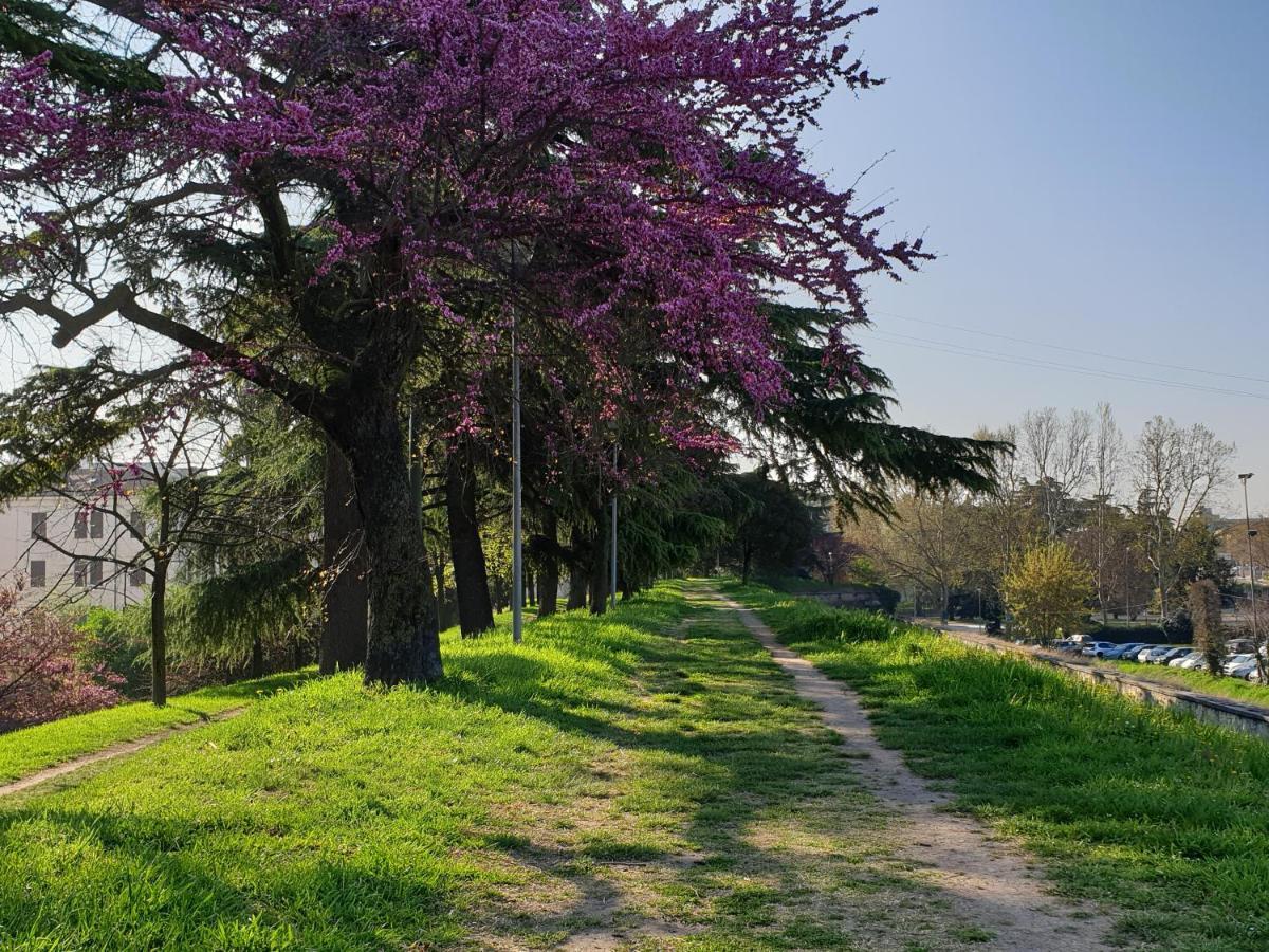Apartment Divina San Zeno