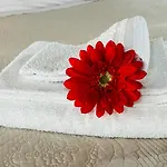 Studio Arena 023091-Loc-04288