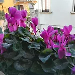 A Casa Di Luca