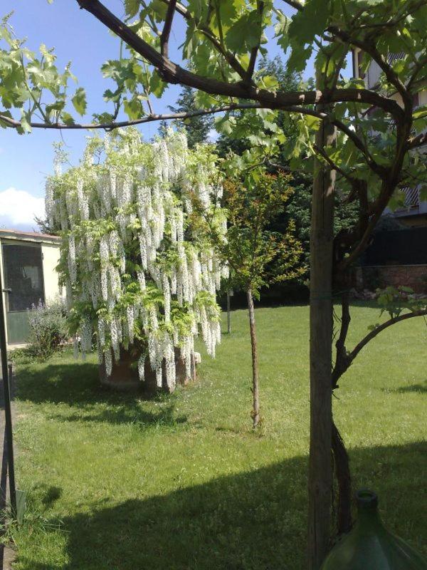 Bed & Breakfast Al Piccolo Giardino Verona