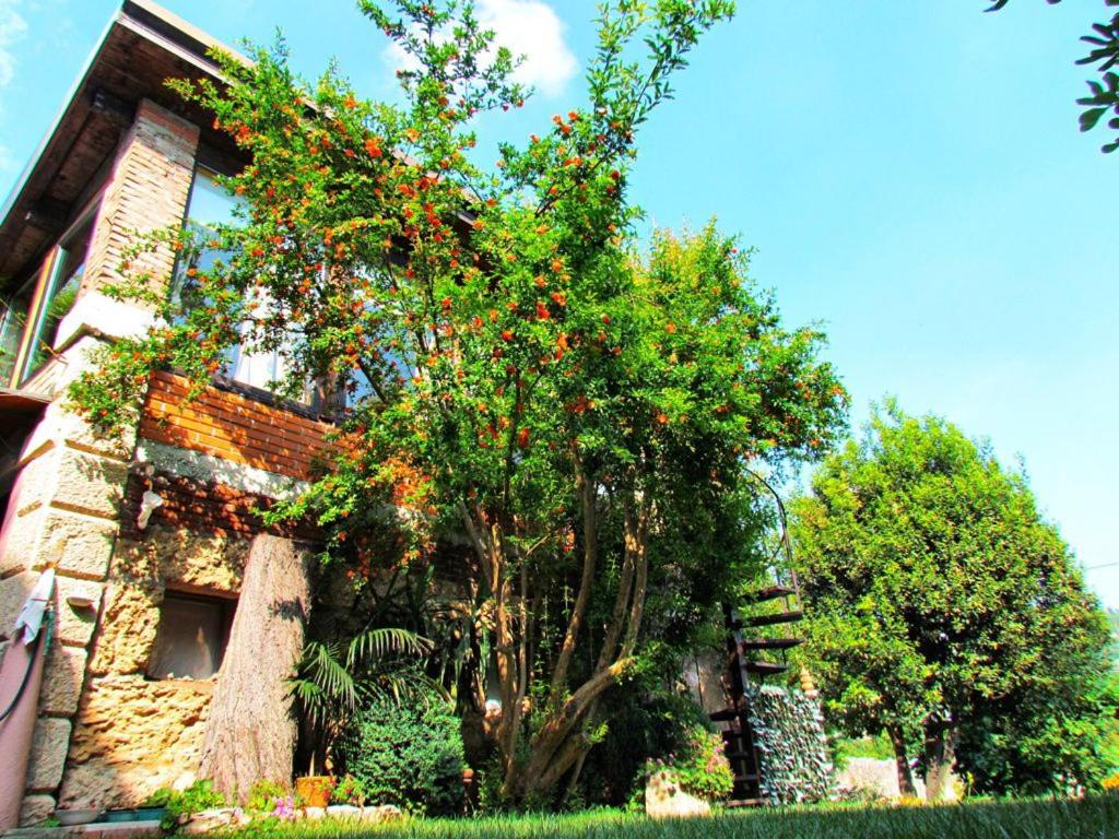 Bed & Breakfast La Piccionaia Verona