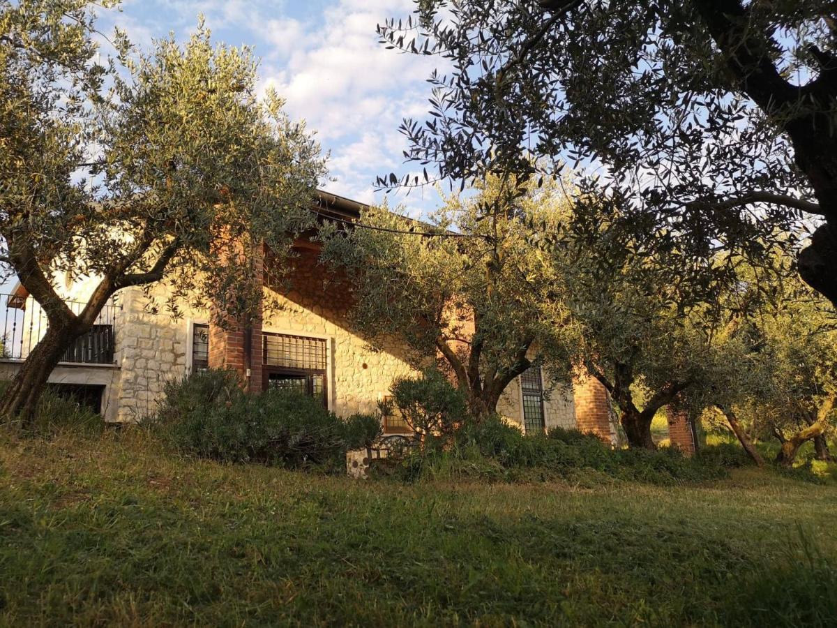 Estadia no rancho Bosco Magico *