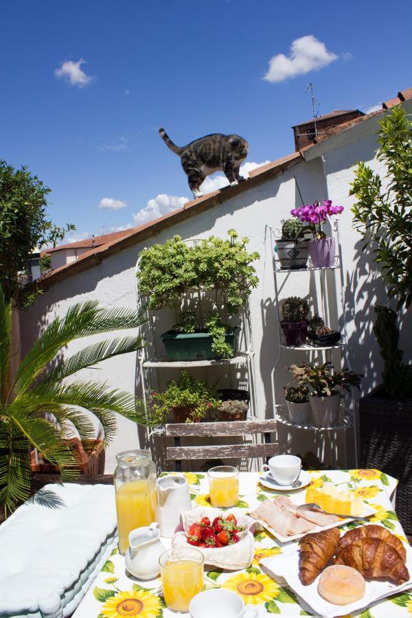 Bed & Breakfast Casanova *