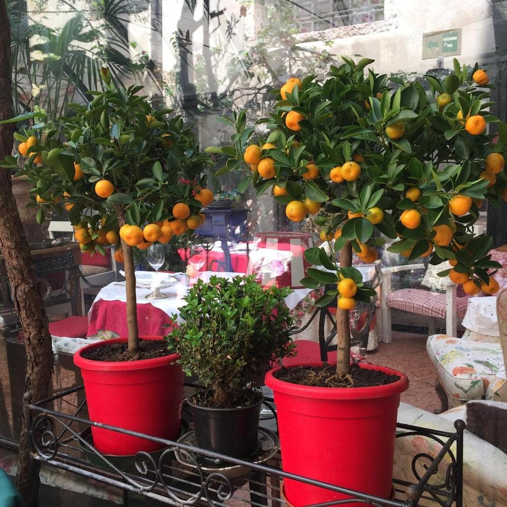 Gabbia D'oro Hotel Verona