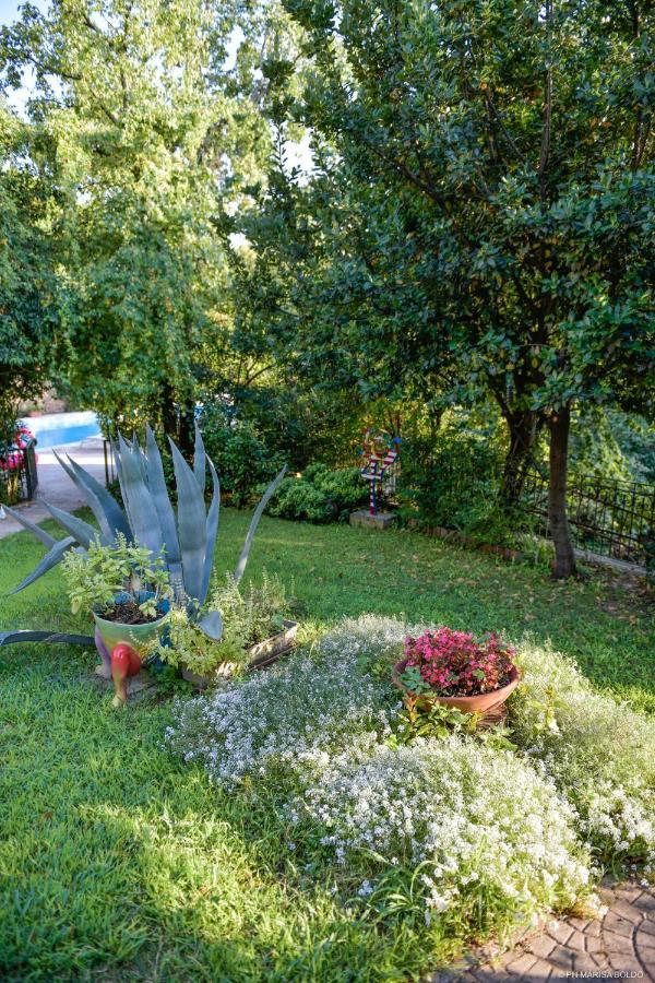 Villa Isidoro Ampio Parco ,Piscina Privata, Arte E Giochi , Fitness