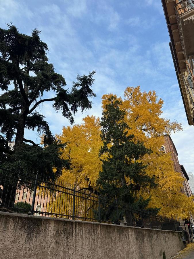 Apartment Domus Largo Pescheria Verona