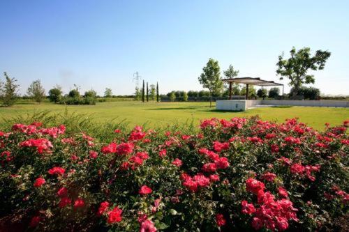 Letizia Country house
