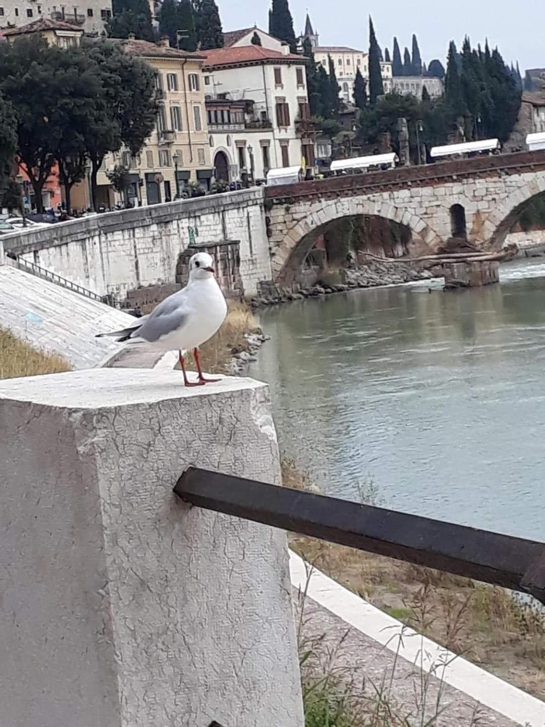 Casa Elena Appartamento *