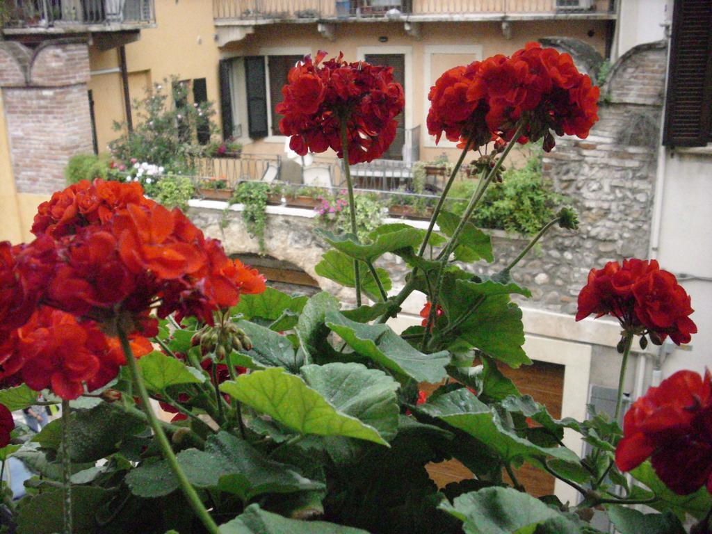 Guesthouset A Casa Di Luca