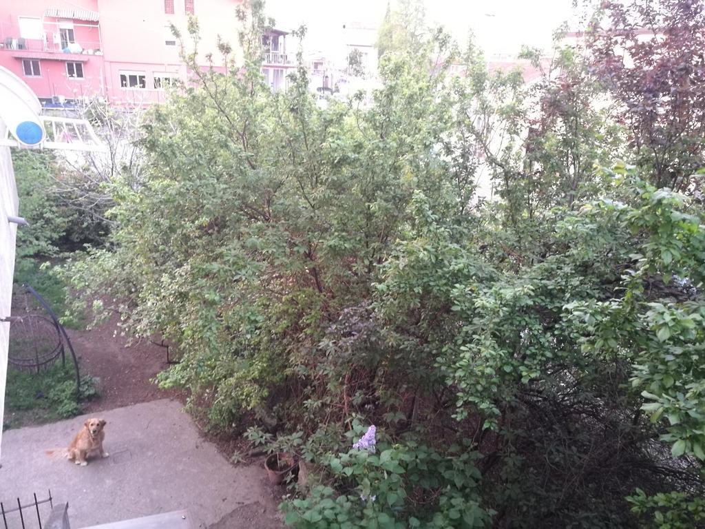 Affittacamere Casa Perlar *