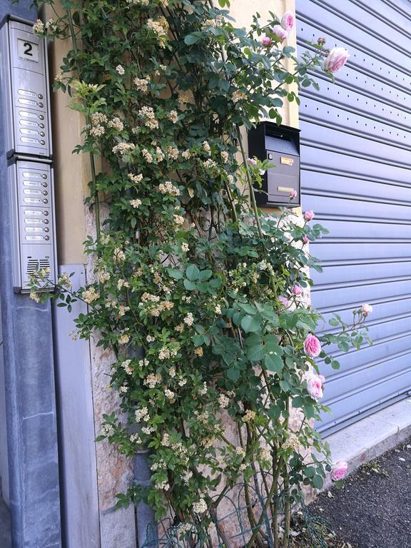 Parma *