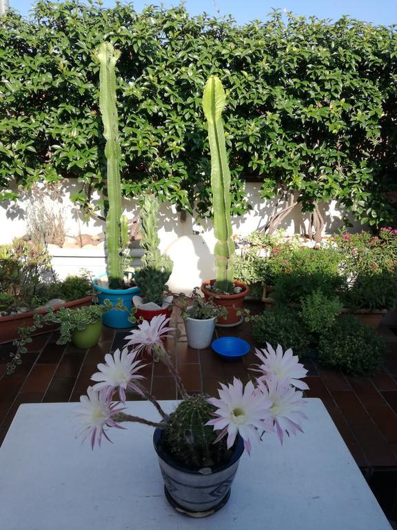 Bed & Breakfast Casanova Verona