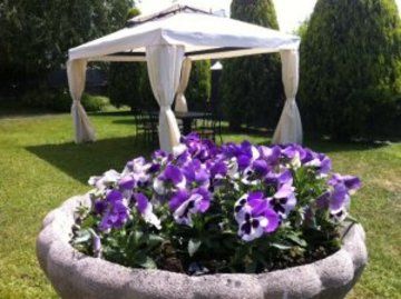 Gardenia Hotel 3*