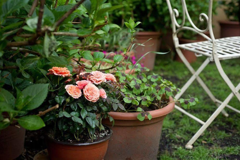 Bed & Breakfast Il Relais Dell'abbazia
