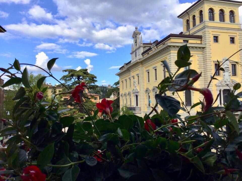 Residenza Navona 3*