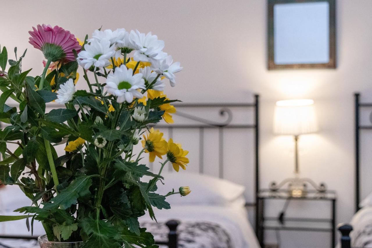 Attico Di Luna Guest house Verona