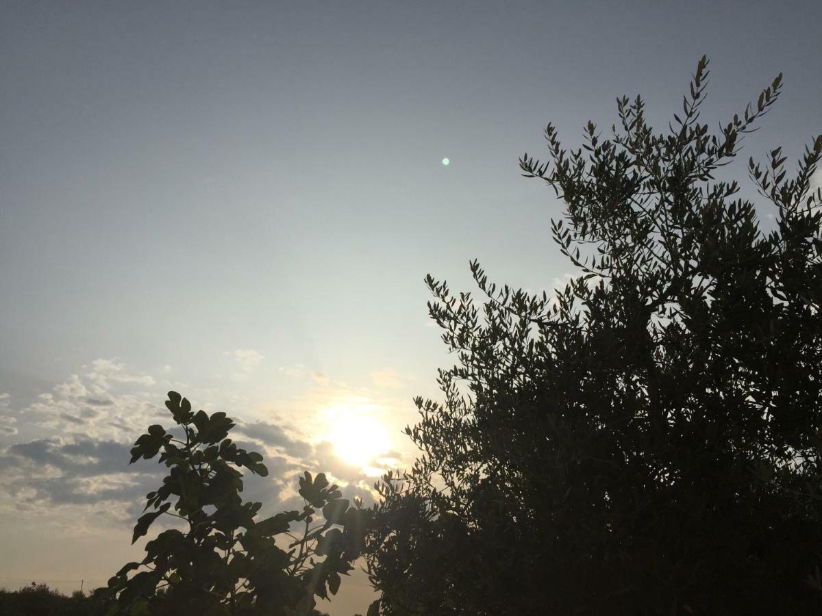 Agriturismo Macole Fattoria Con Spuntini Farm stay *