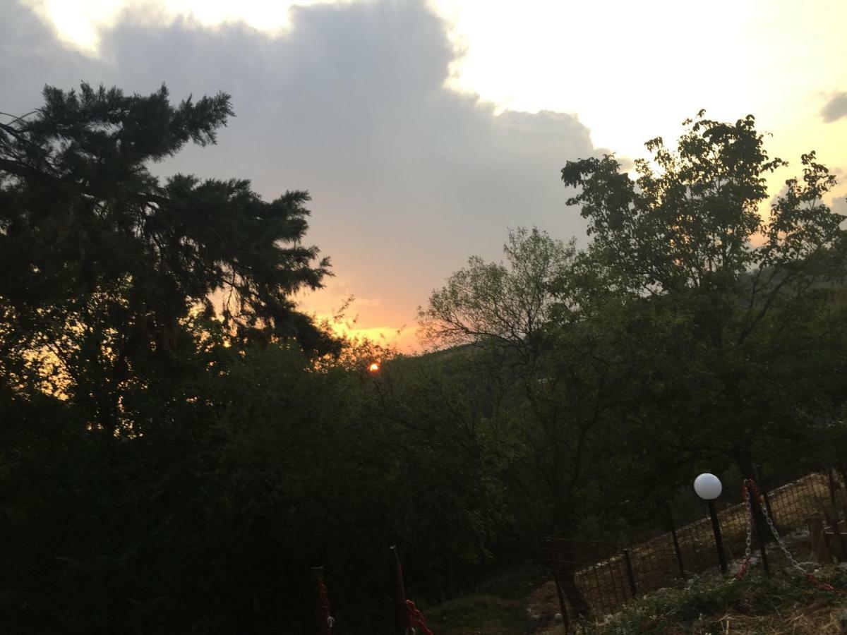 Agriturismo Macole Fattoria Con Spuntini Farm stay