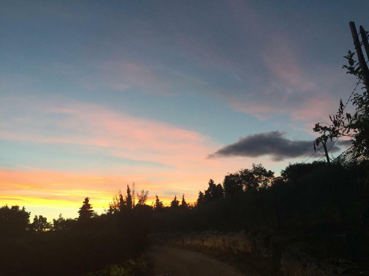 Agriturismo Macole Fattoria Con Spuntini Farm stay