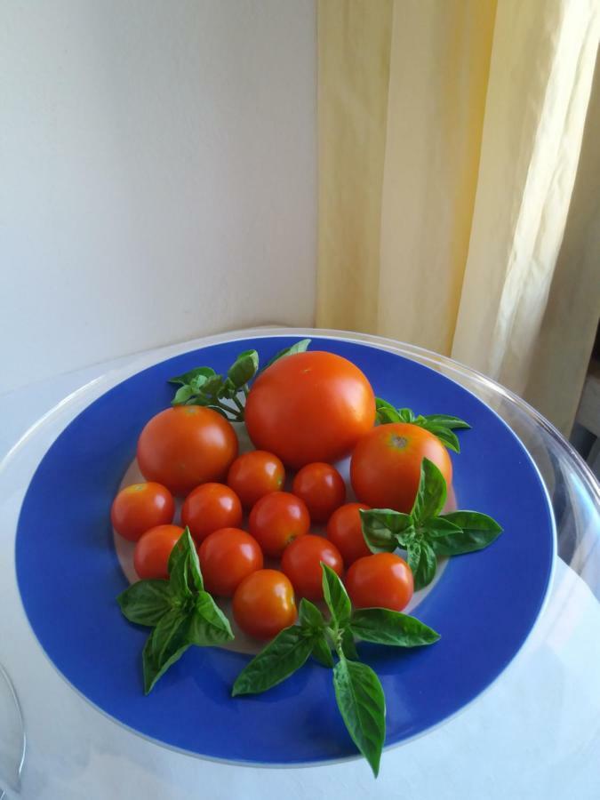Ca Novecento Bed & Breakfast *